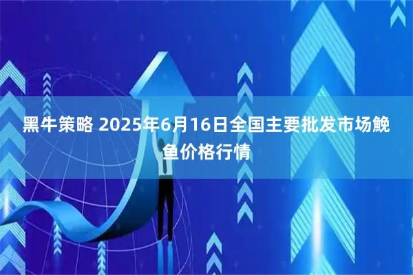 黑牛策略 2025年6月16日全国主要批发市场鮸鱼价格行情