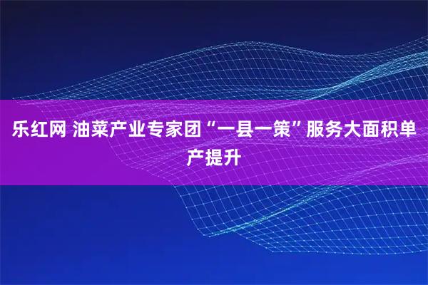乐红网 油菜产业专家团“一县一策”服务大面积单产提升