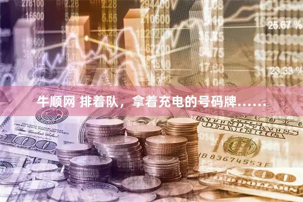 牛顺网 排着队，拿着充电的号码牌……