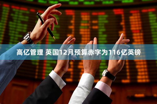 高亿管理 英国12月预算赤字为116亿英镑