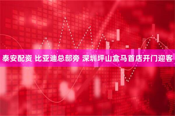 泰安配资 比亚迪总部旁 深圳坪山盒马首店开门迎客